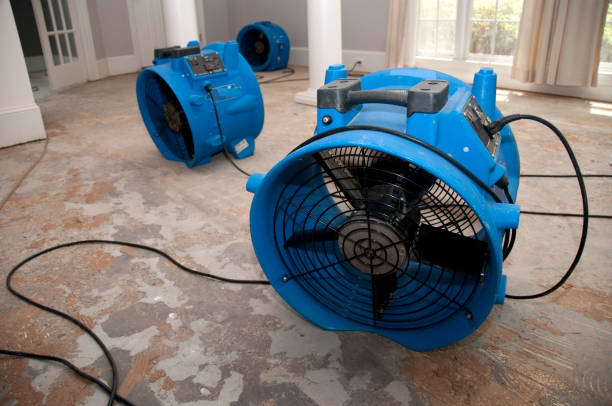 Best Residential water damage restoration  in Pikesville, MD