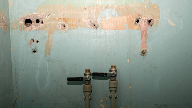 Professional Water damage restoration in Pikesville, MD